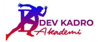 Dev Kadro Akademi Yayınları
