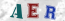 Güvenlik Resmi