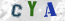 Güvenlik Resmi