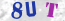Güvenlik Resmi