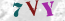 Güvenlik Resmi